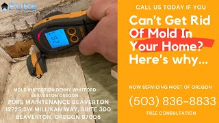 Mold Inspection Denny Whitford Beaverton Oregon - Pure Maintenance Beaverton - 503-836-8833