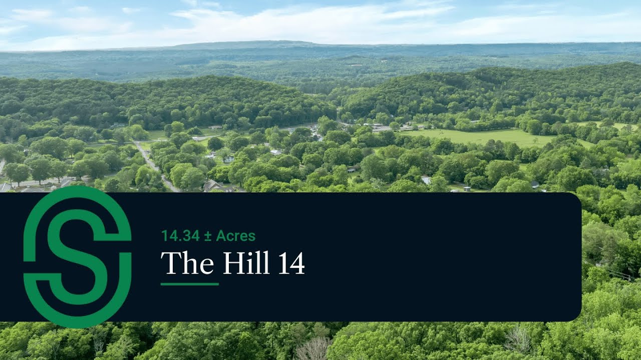 14-Acre Mountain Property Near Mentone & DeSoto State Park • North Alabama Land for Sale