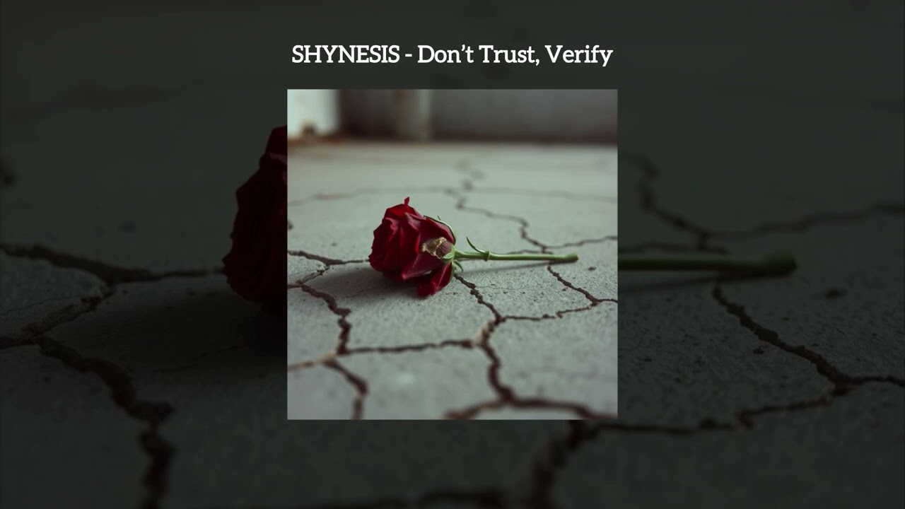 SHYNESIS - Don’t Trust, Verify (Official Audio)