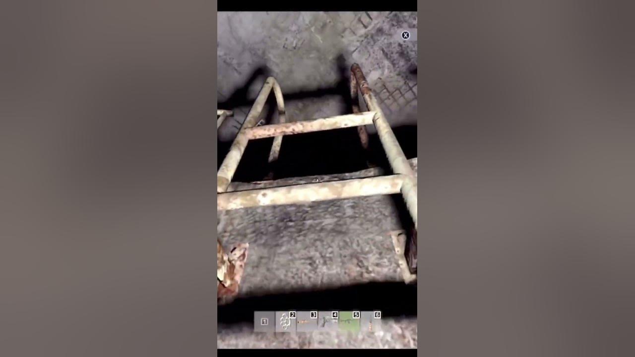 Ladders in Dayz are dangerous dayz xbox clips shorts mansickle