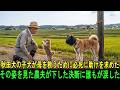 秋田犬の子犬が母を救うために必死に助けを求めた…その姿を見た農夫が下した決断に誰もが涙した