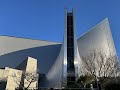 年間第4主日 世界こども助け合いの日(献金)東京教区ケルンデー