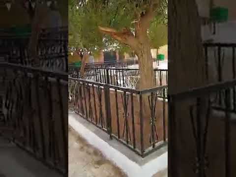 حاسي الرمل Hassi R Mel اكمالية حي الزهور 