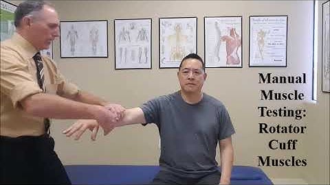 Manual Muscle Testing - Rotator Cuff