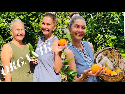 Organik Meyve Ve Sebzeleri Öğretmenimin Bahçesinden Toplayıp Salatamızı Yaptım | Organik Tarım Tüyo.
