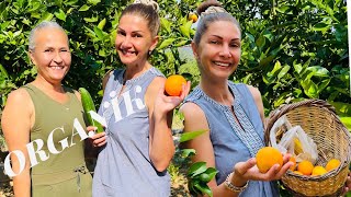 Organik Meyve Ve Sebzeleri Öğretmenimin Bahçesinden Toplayıp Salatamızı Yaptım | Organik Tarım Tüyo.