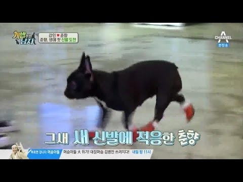 강인-춘향이, 처음 신어본 신발에 귀여움 장착_채널A_개밥남 7회