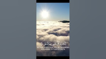 #تلاوة #اكسبلور #المصحف #قرآن #راحة_نفسية #yasseraldossary #لايك #القزابري #قرآن_كريم #دويتو #لايك