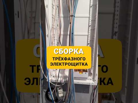 СБОРКА ТРЁХФАЗНОГО ЩИТКА , Электромонтажные работы ( Proekt Altares 2024 )