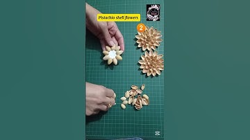 Pista Shell Craft | pistachio flower @craftyfunda6979