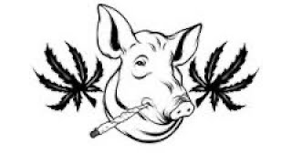 WEED HOG 007