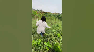 What To Know Before Purchasing Land In Limbe Cameroon 