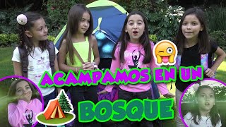 Acampamos en un Bosque Mágico ✨ / Lara Campos