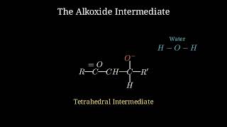 Master Aldol Condensation Mechanism | Class 12 Chemistry