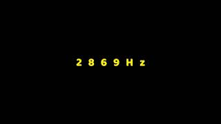 2869Hz