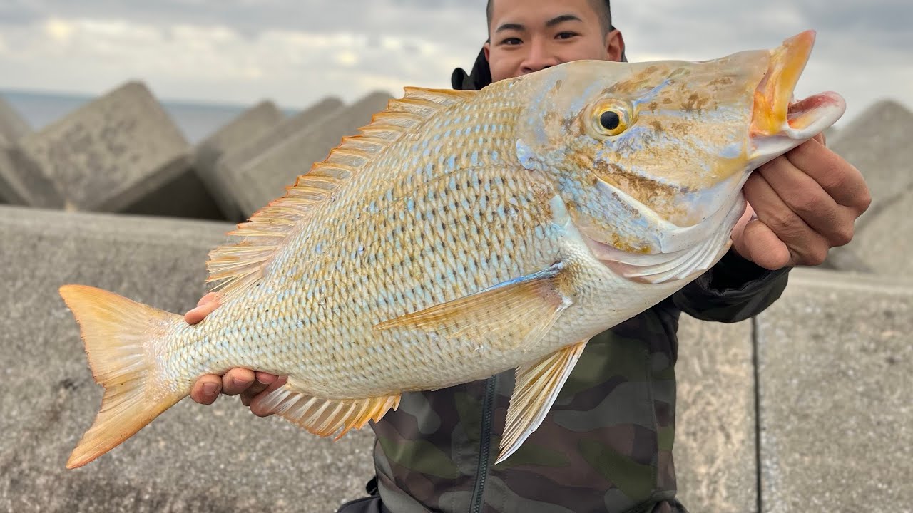 爆風一文字で良型タマンゲット！！【打ち込み釣り】【泡瀬一文字