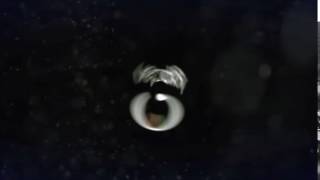 Intro IGP #2