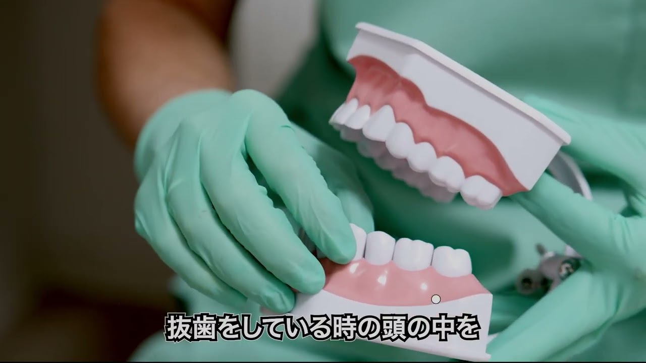 プレミアムファイル8宣伝動画