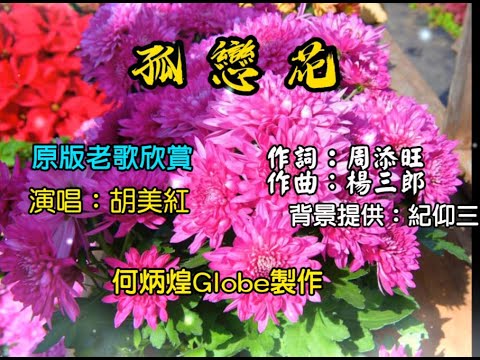 孤戀花~附KTV歌詞~胡美紅演唱~原版老歌欣賞