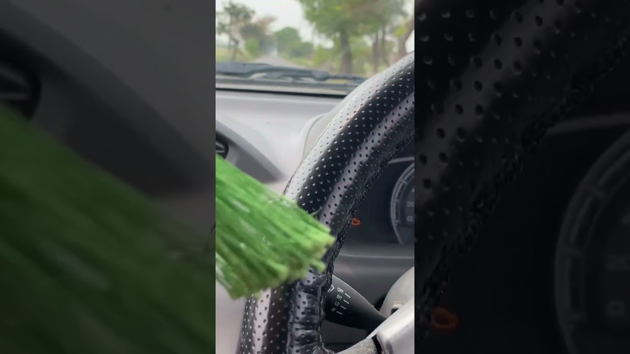 MARUTI SUZUKI ALTO 0-80 KMPH CNG PICKUP MUST WATCH 