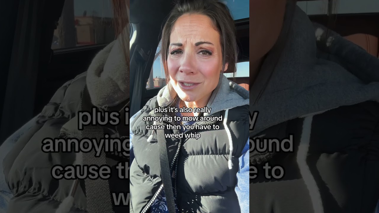 Соседская собака гадит у вас во дворе 