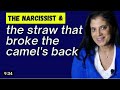 النرجسي القشه التى قسمت ظهر البعير The Straw That Broke The Camel S Back The Narcissist 