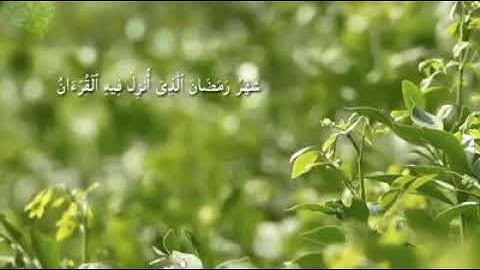 مزهر المصطاف تلاوة رمضانية جميلة