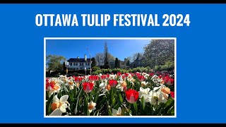 Ottawa Tulip Festival 2024 (Video 10:34)