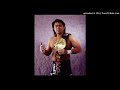 Keiji Mutoh Theme "Hold Out"