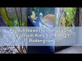 Produktbewertung AquaOne Aquarium Kies Sand 5 kg I Bodengrund hell schwarz bunt fein mittel grob I A
