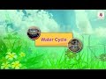 Water Cycle | Science Grade 1 | Periwinkle