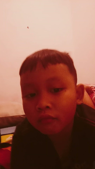 10 November 2024