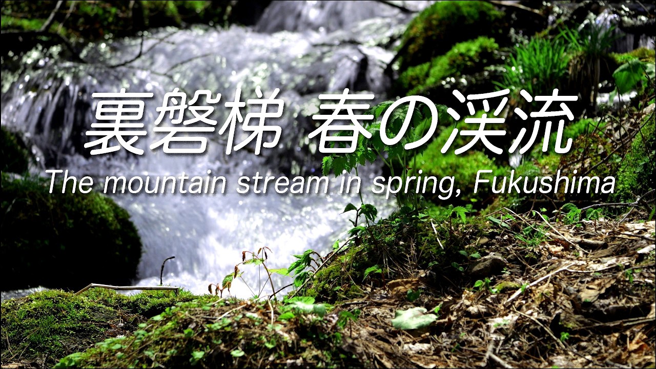 4K】福島・裏磐梯 春の渓流 The mountain stream in spring, Fukushima