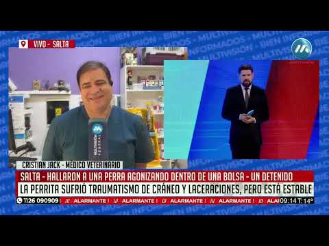 Maltrato animal en villa Chartas: ¿Cómo sigue Negrita?