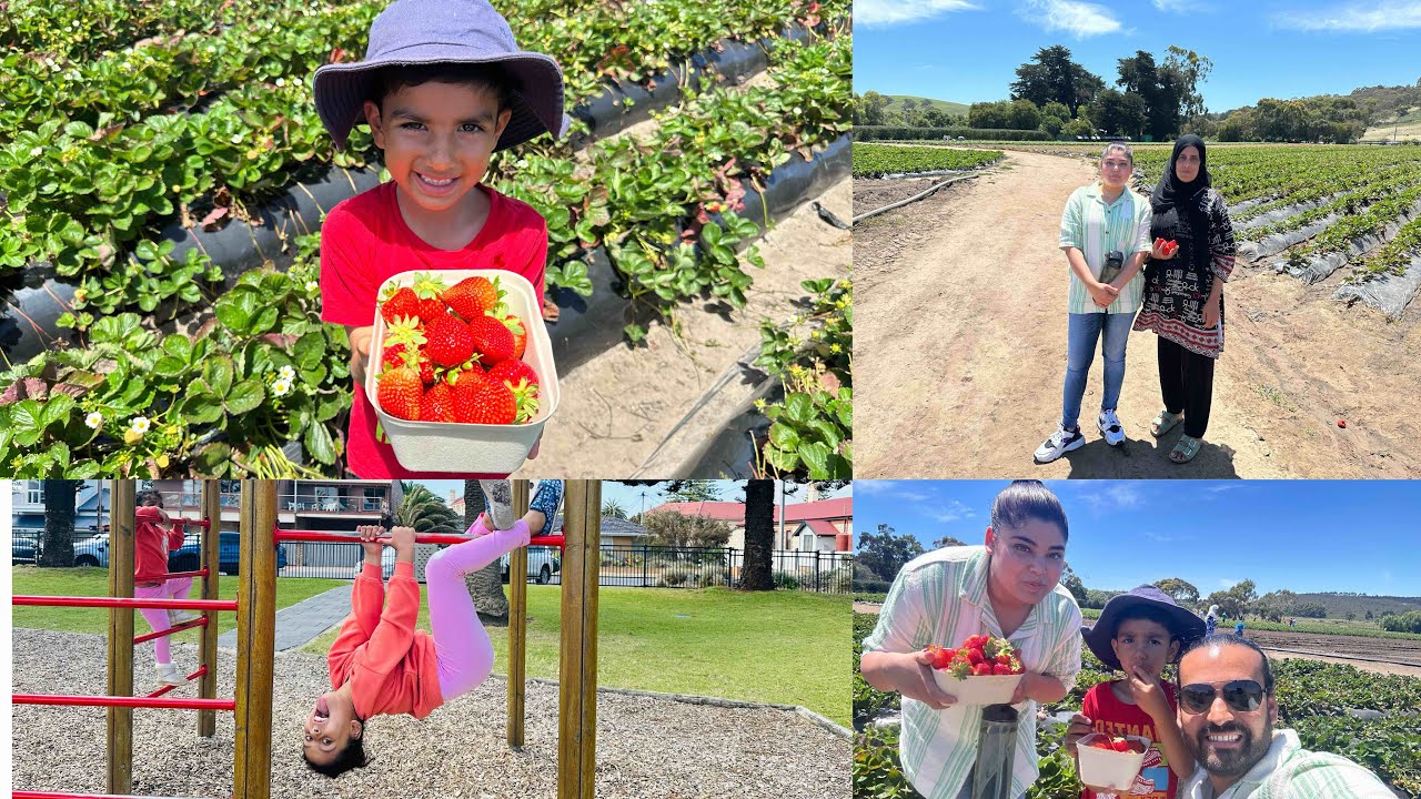 Strawberry picking with family And Victor Harbor Beach kay maze