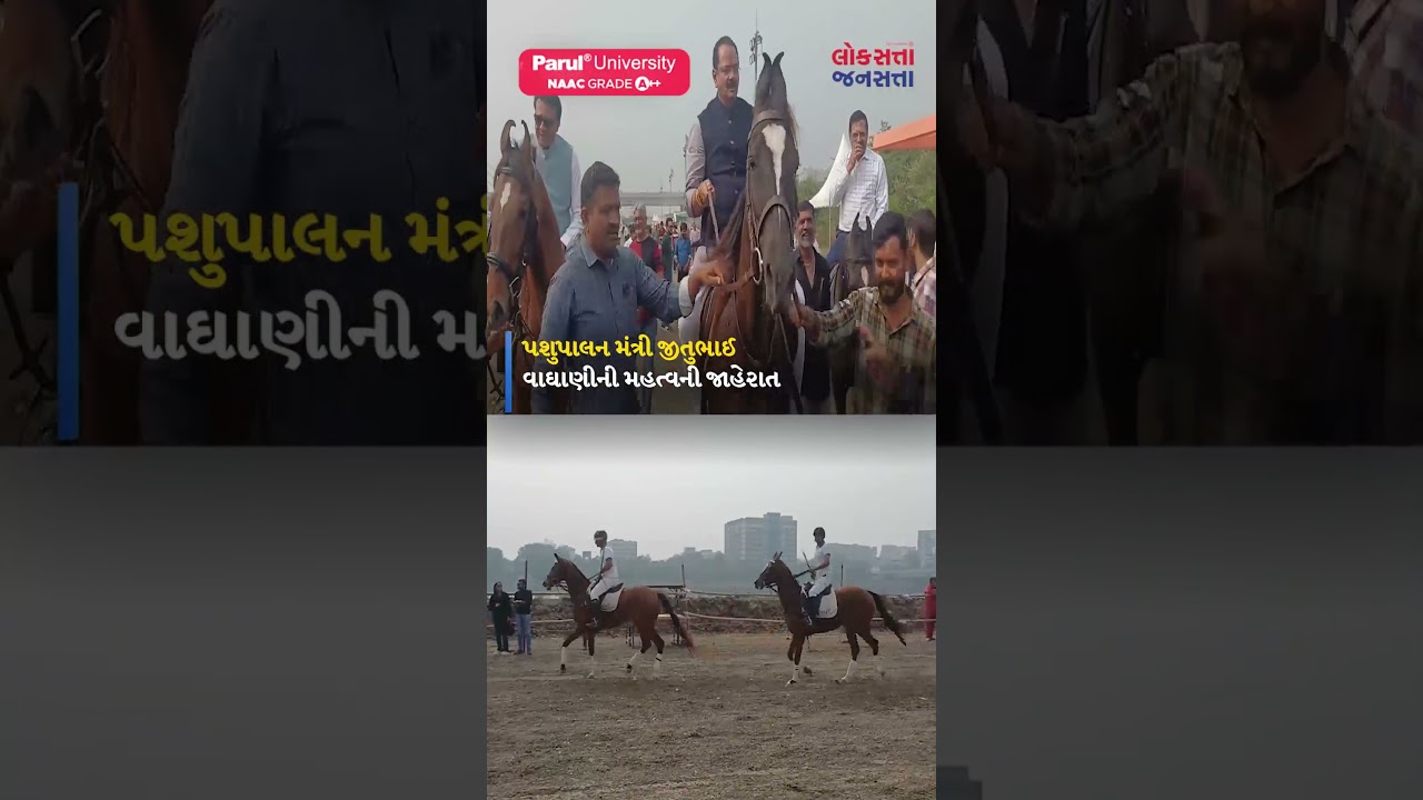 Surat માં Adajan ના આંગણે 'Tapi Horse Show-2026'નો દબદબાભેર પ્રારંભ