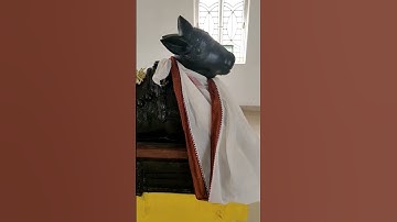 இன்று ஆனி சனி பிரதோஷம்  | உலகிலேயே முதல் முறையாக லட்சுமி+நந்தி பகவான் தரிசனம் |காண கண்கோடி வேண்டும்