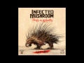 Infected mushroom  the french hq audio