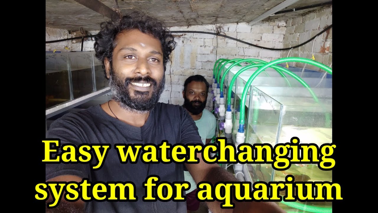 Easy water changing system for aquarium YouTube