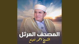 سورة النبأ