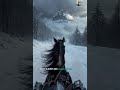 Throne of the North