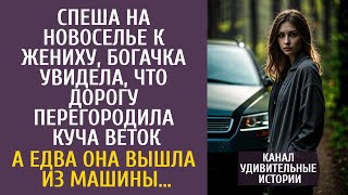 видео: Спеша на новоселье к жениху, богачка увидела, что дорогу загородила куча веток… А едва выйдя из авто картинка: Спеша на новоселье к жениху, богачка увидела, что дорогу загородила куча веток… А едва выйдя из авто