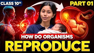How Do Organisms Reproduce? | Class 10 Science | CBSE Board Exam 2027 | Complete Chapter 🔥