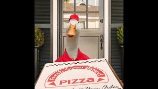 I think this is my category now. Gioia- Duck Simulator 2 (Pizza% Glitchless) in 8:31.967 Former WR screenshot 4