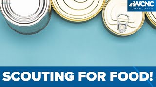 Help those in need this weekend with Scouting for Food