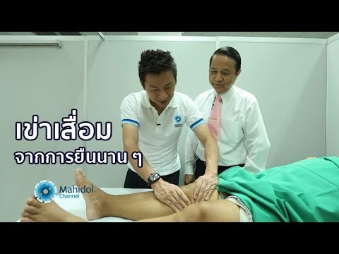เข่าเสื่อมจากการยืนนาน ๆ : ศิริราช The Life ตอนสั้น [by Mahidol]