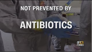 Breaking Down Coronavirus Myths