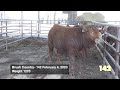 Session 2 Brush Country Beef 706