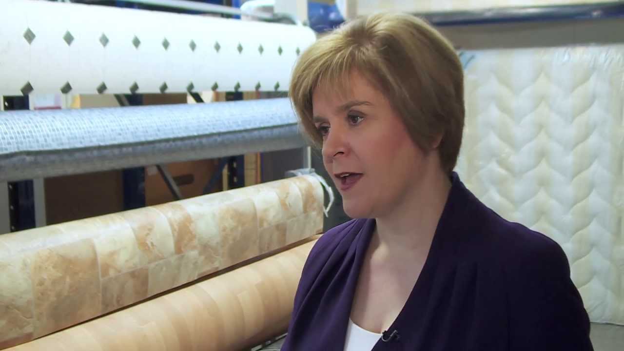 Expert Working Group on Welfare report