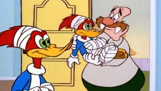 Wally is Woody's Nurse! 🏥 | Woody Woodpecker